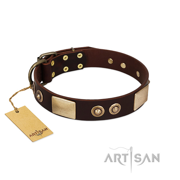 Easy to adjust full grain leather dog collar for walking your four-legged friend