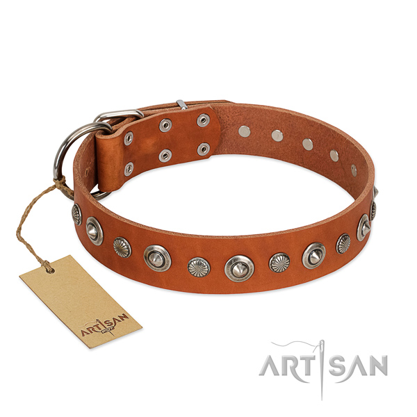 High quality leather dog collar with unusual embellishments