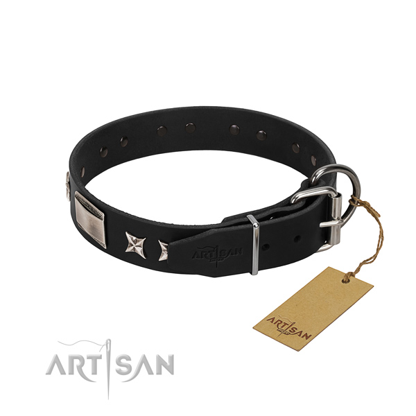 High quality leather dog collar with reliable hardware