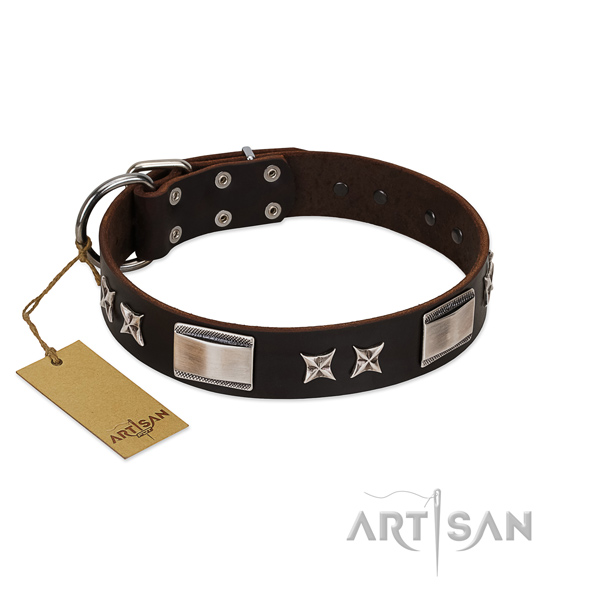 Adorned dog collar of genuine leather