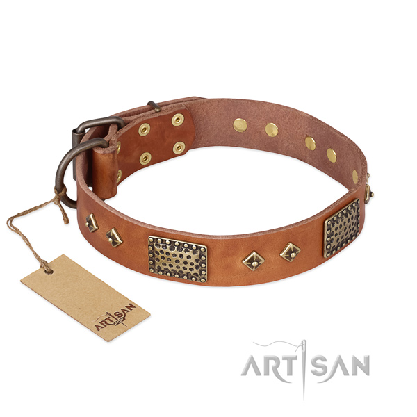 Impressive full grain genuine leather dog collar for walking