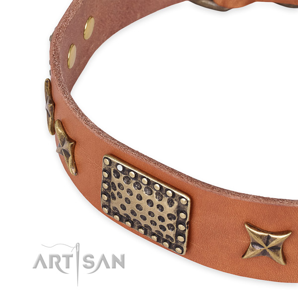 Full grain natural leather collar with rust-proof hardware for your beautiful canine