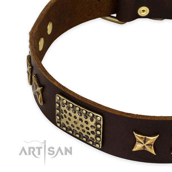 Leather collar with corrosion proof fittings for your attractive canine