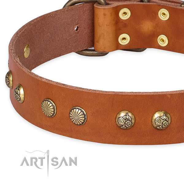 Full grain genuine leather collar with durable D-ring for your stylish canine