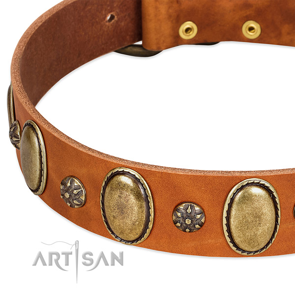 Handy use best quality leather dog collar