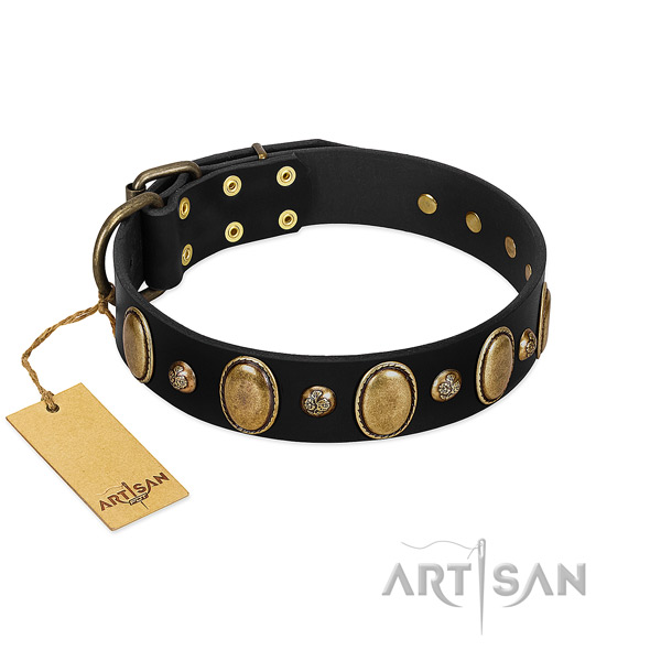 Natural leather dog collar of quality material with extraordinary decorations