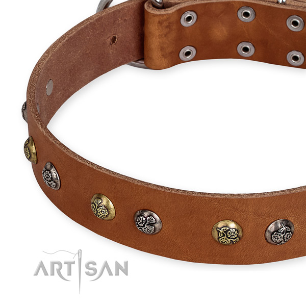Full grain leather dog collar with stunning corrosion proof adornments
