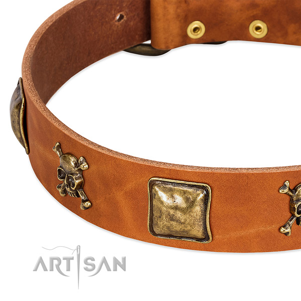 Stylish embellishments on full grain genuine leather collar for your doggie