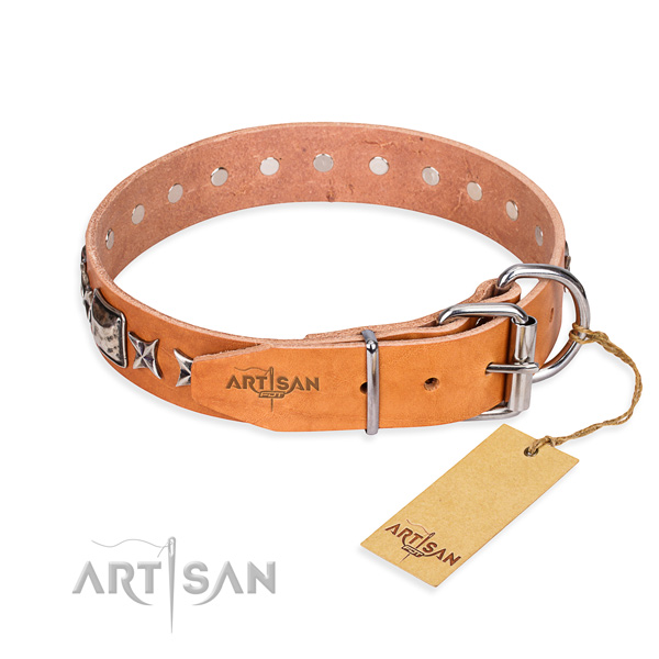 Top quality embellished dog collar of leather