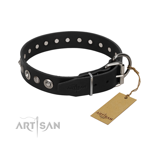 Durable genuine leather dog collar with impressive adornments