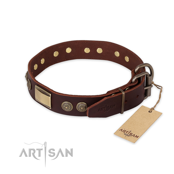 Rust-proof fittings on genuine leather collar for fancy walking your canine