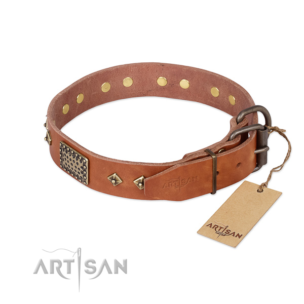 Full grain natural leather dog collar with corrosion resistant fittings and decorations