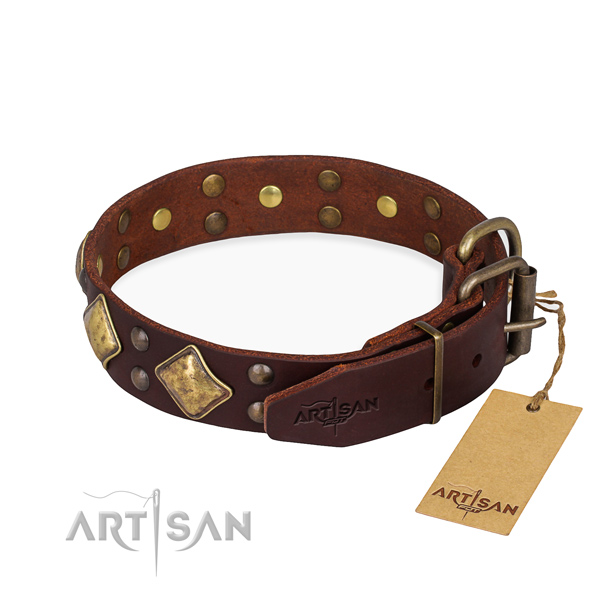 Full grain leather dog collar with unique reliable embellishments