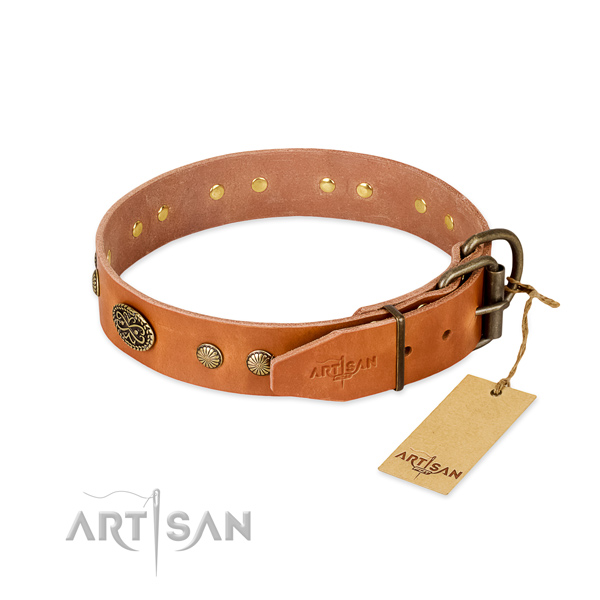 Reliable studs on full grain leather dog collar for your doggie