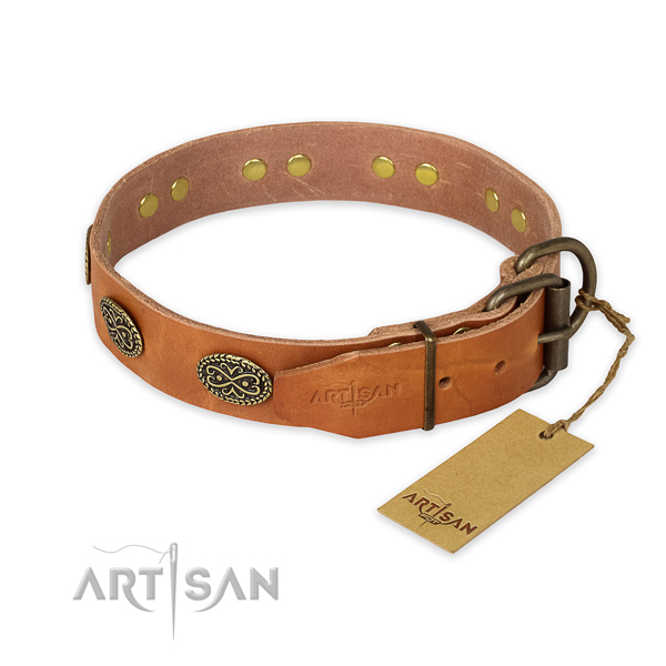 Strong traditional buckle on leather collar for fancy walking your dog