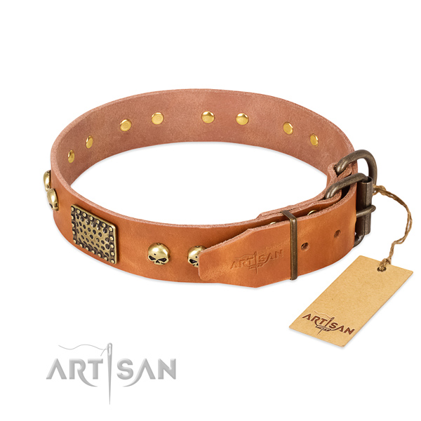 Rust-proof fittings on comfortable wearing dog collar