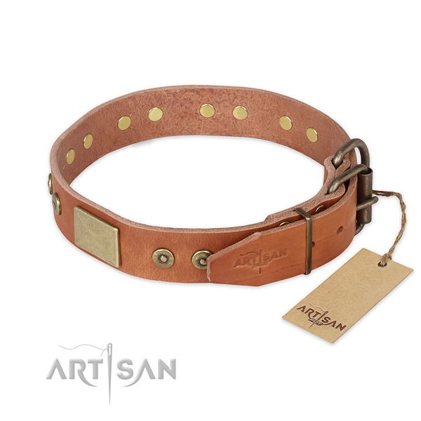 Rust resistant fittings on full grain leather collar for walking your pet