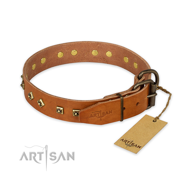 Strong hardware on leather collar for walking your four-legged friend