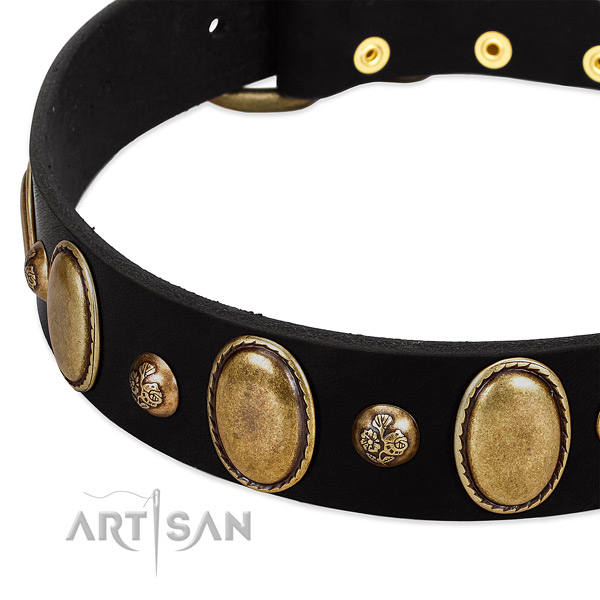 Leather dog collar with awesome embellishments