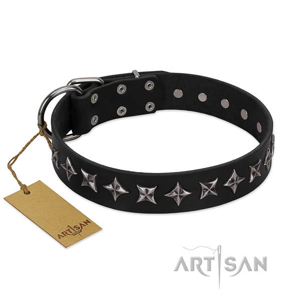 Stylish walking dog collar of top quality genuine leather with decorations