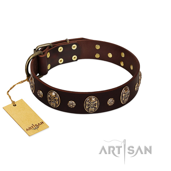 Designer leather collar for your four-legged friend