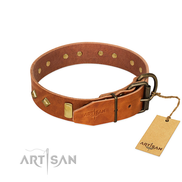 Daily use genuine leather dog collar with trendy studs