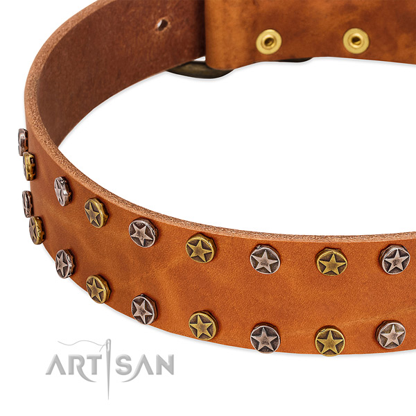 Daily use genuine leather dog collar with stylish adornments