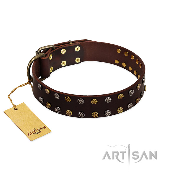 Everyday use reliable genuine leather dog collar with studs