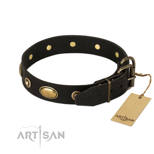 Reliable fittings on genuine leather dog collar for your four-legged friend
