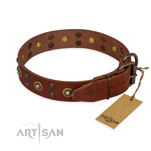 Corrosion proof buckle on full grain natural leather collar for your impressive four-legged friend