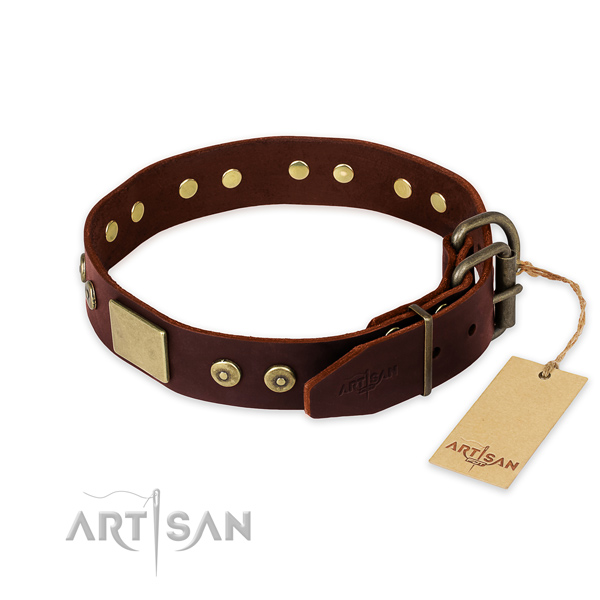 Rust-proof embellishments on walking dog collar