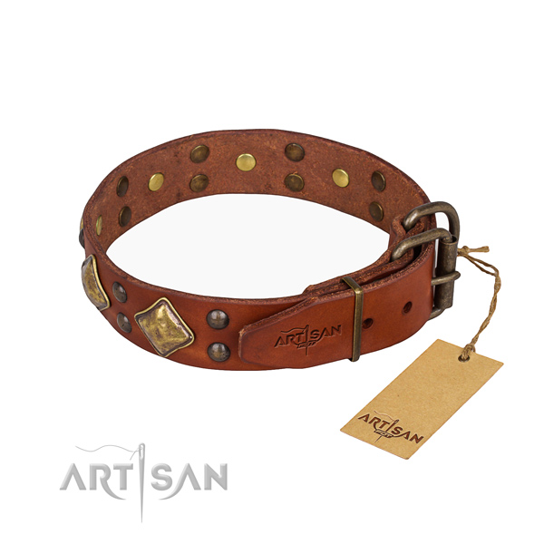Natural leather dog collar with impressive reliable adornments