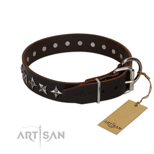 Daily use embellished dog collar of top quality full grain leather