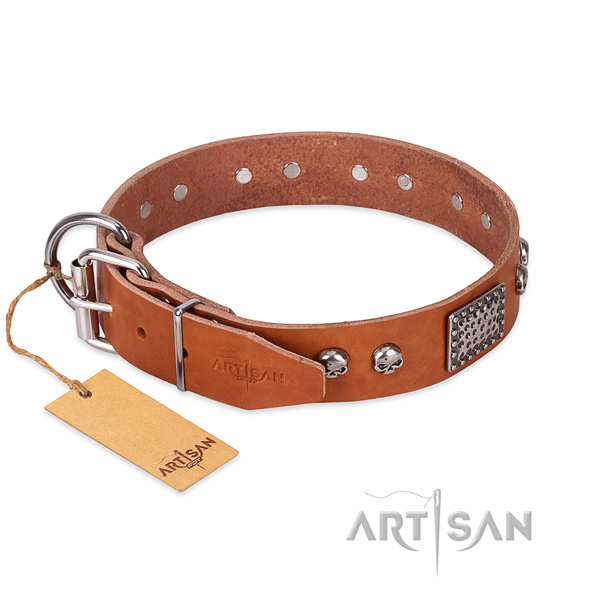 Strong studs on everyday use dog collar