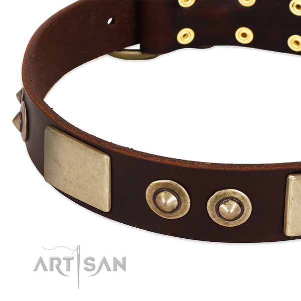 Rust resistant decorations on full grain genuine leather dog collar for your doggie