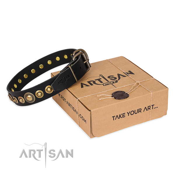 Durable full grain natural leather dog collar made for daily use