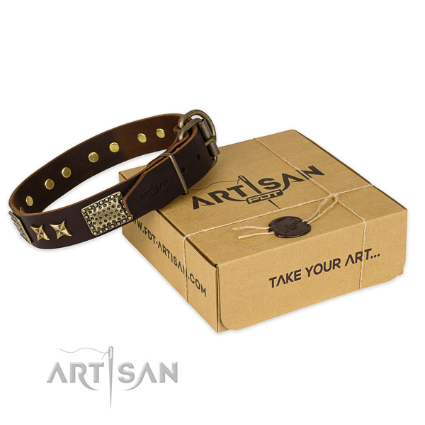 Strong hardware on full grain natural leather collar for your attractive canine