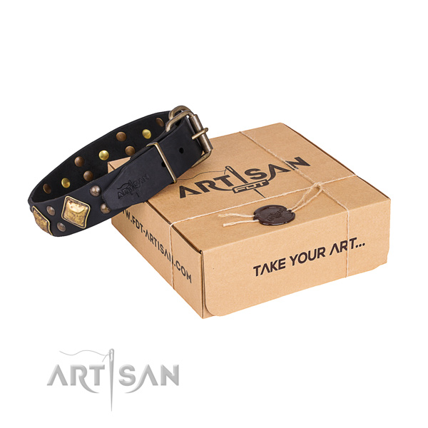 Fancy walking dog collar with Inimitable reliable embellishments