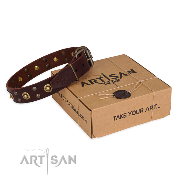 Corrosion proof traditional buckle on full grain genuine leather collar for your beautiful pet