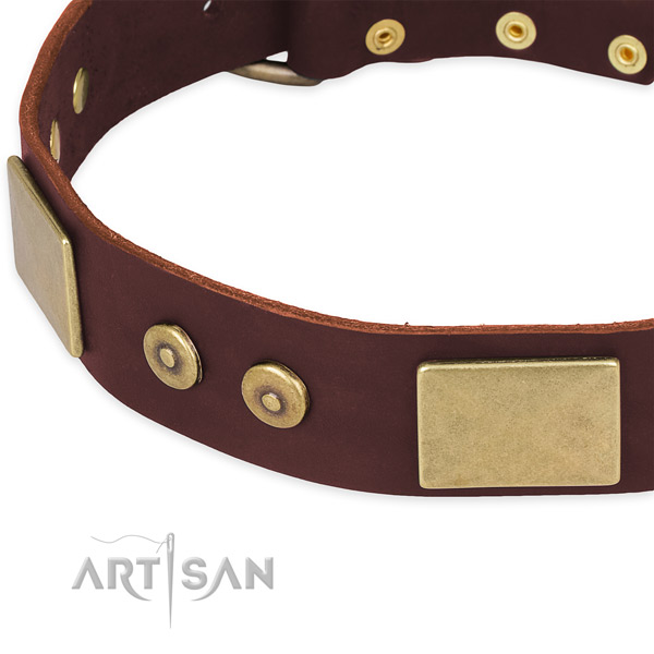 Full grain leather dog collar with adornments for daily use
