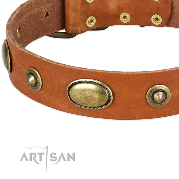 Durable fittings on natural leather dog collar for your dog