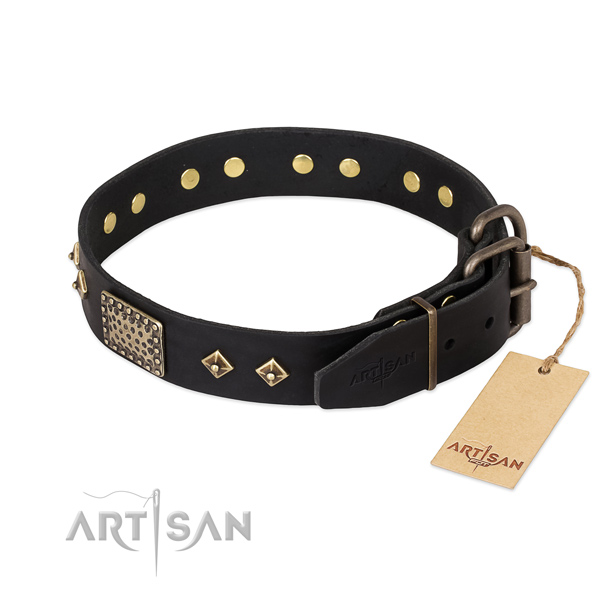 Full grain natural leather dog collar with corrosion resistant D-ring and studs