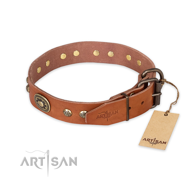 Durable fittings on genuine leather collar for fancy walking your doggie
