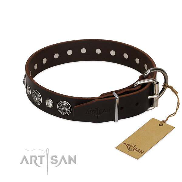Durable natural leather dog collar with incredible embellishments