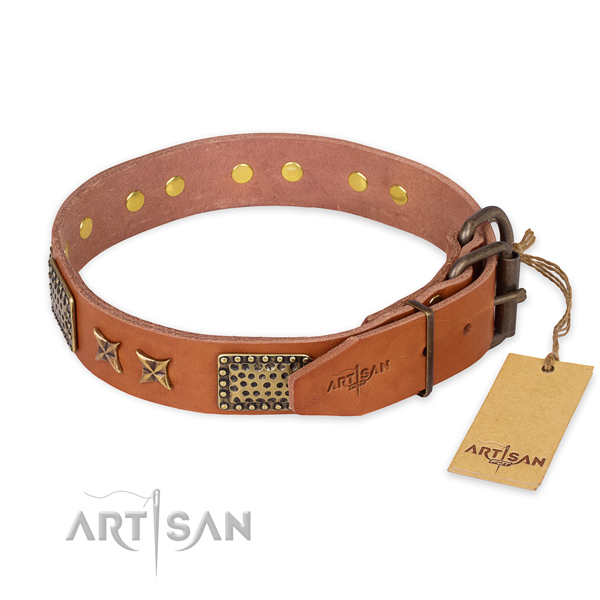 Rust resistant buckle on leather collar for your impressive four-legged friend