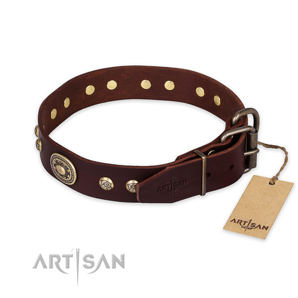 Corrosion proof hardware on natural leather collar for walking your pet