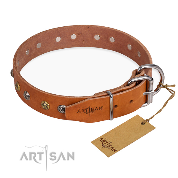 Full grain leather dog collar with stylish reliable adornments