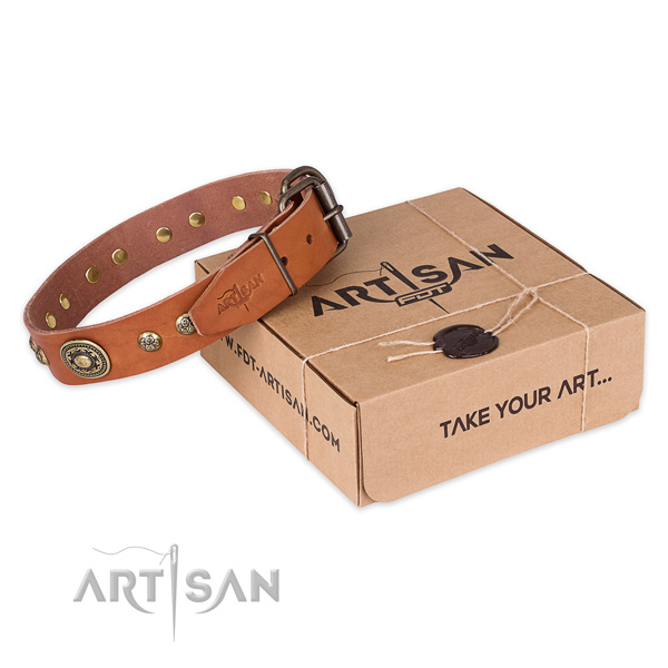 Durable fittings on full grain leather dog collar for everyday use