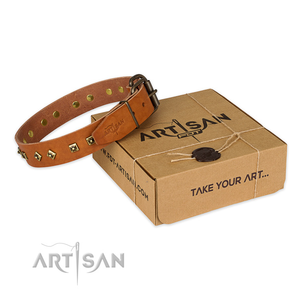Rust resistant fittings on full grain natural leather dog collar for daily use