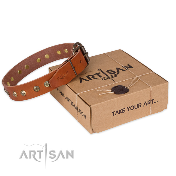Rust-proof traditional buckle on natural genuine leather collar for your lovely doggie